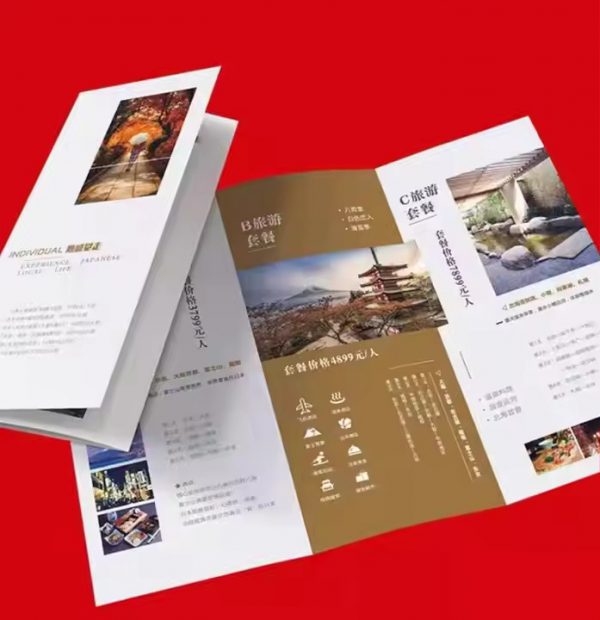 Custom Instruction Manual Promotional Folded Flyer Leaflet Brochure Pamphlet - Image 2