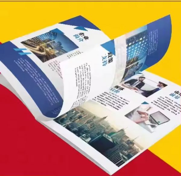 Custom Instruction Manual Promotional Folded Flyer Leaflet Brochure Pamphlet - Image 3