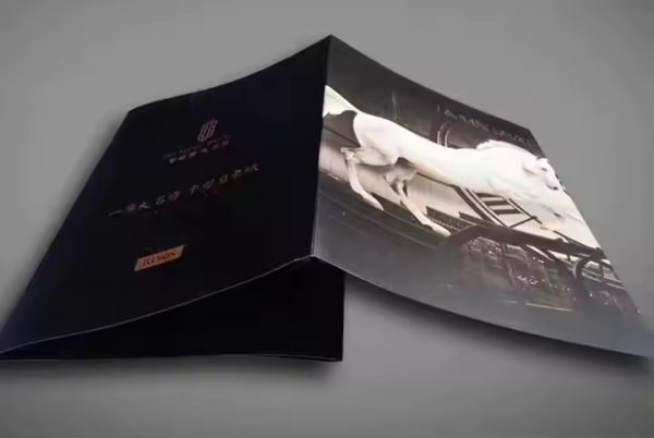 Custom Instruction Manual Promotional Folded Flyer Leaflet Brochure Pamphlet - Image 5