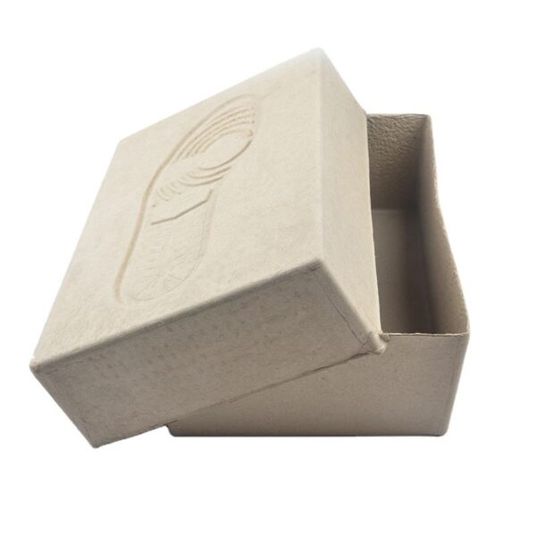 Molded Paper Pulp Packaging Package Boxes